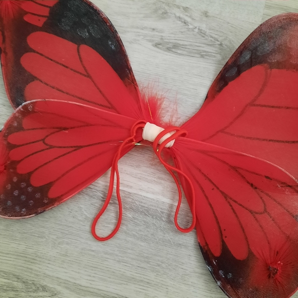 Butterfly Costume - Picture 3 of 5